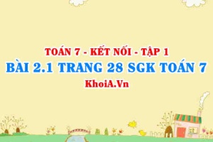 Bài 2.1 trang 28 SGK Toán 7 tập 1 Kết nối tri thức
